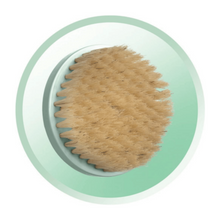 REMINGTON | Reveal Facial Cleansing Brush BB1000 For Body Only | AREREBB1000U5