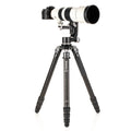 BENRO | Mammoth Carbon Fiber Tripod | TMTH44C