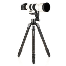 BENRO | Mammoth Carbon Fiber Tripod | TMTH44C