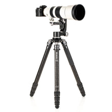 BENRO | Mammoth Carbon Fiber Tripod | TMTH44C