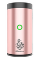 CRONY | B50 Car Bukhoor Usb Type-C Power Rechargeable | Rose Gold