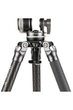 BENRO | Mammoth Carbon Fiber Tripod with WH15 Wildlife Head | TMTH44CWH15