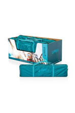 BESTWAY | Pavillo Activeridge 4 Tent | BES115TOY01223