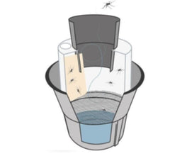 BIOGENTS | Double set with 10 Sticky cards | PST-FLY-MOT-930-004