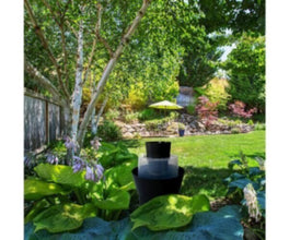 BIOGENTS | Double set with 10 Sticky cards | PST-FLY-MOT-930-004