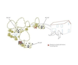 BIOGENTS | Double set with 10 Sticky cards | PST-FLY-MOT-930-004