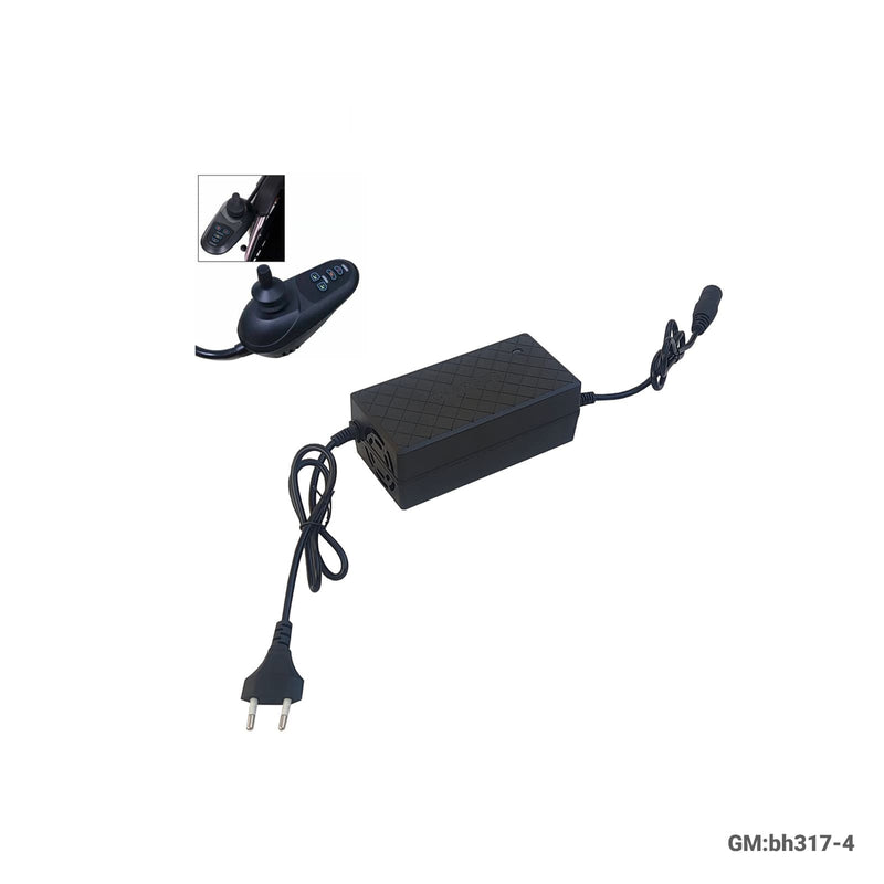 Joystick Charger 24V-29.4V | BH 317 4