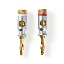 NEDIS | Audio Connector Straight Banana Male Gold Plated 2Pcs | CAGC26900ME
