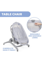 CHICCO | Baby Hug 4 IN 1 - Air Stone | 79193850000