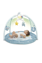 CHICCO | First Dreams Enjoy Colors Playgym - Blue | 9866200000