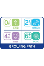 CHICCO | Physio Teats Average Flow - 2M+ - 2PCS | 20323000000