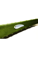 COSRX | Aloe Soothing Sun Cream 50ml