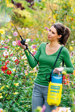 GLORIA | Pressure Sprayer Prima 3 | 00078.0000