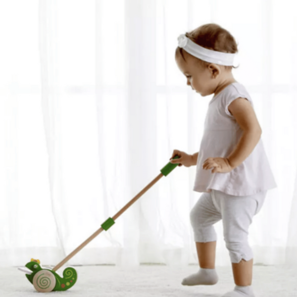 CLASSIC WORLD | Push Chameleon Toy | CWD10507
