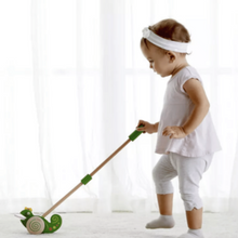 CLASSIC WORLD | Push Chameleon Toy | CWD10507