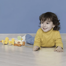 CLASSIC WORLD | Pull Padding Duck 32 cm Ã— 11 cm Ã— 12 cm | CWD10513