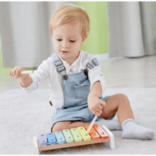 CLASSIC WORLD | Xylophone Music Toy | CWD40530