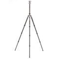 BENRO | Rhino Carbon Fibre 4 Section Tripod | FRHN24C