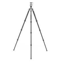 BENRO | Rhino Carbon Fibre FRHN24C+VX25 Head 4 Section | FRHN24CVX25