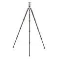 BENRO | Rhino Carbon Fibre 4 Section Tripod | FRHN24C