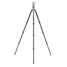 BENRO | Rhino Carbon Fibre 4 Section Tripod | FRHN24C