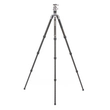 BENRO | Rhino Carbon Fibre 4 Section Tripod | FRHN24C