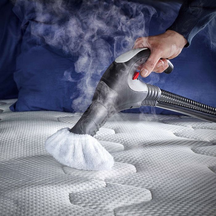 Polti Vaporetto Lecoaspira FAV50 Multifloor Vacuum Cleaner