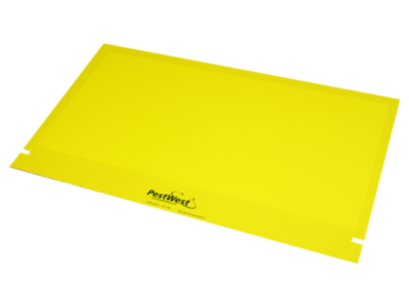 PESTWEST | Fly Detect | PST-FLY-EFK-900-083