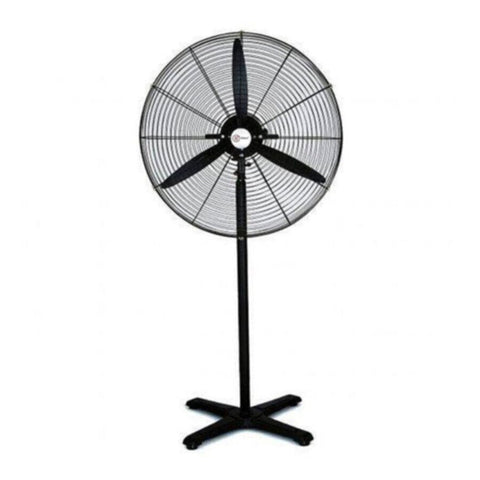 BELACO | Pedestal Fan 30