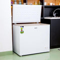 GEEPAS | Chest Freezer 250Ltr 125W White | GCF2506WAH
