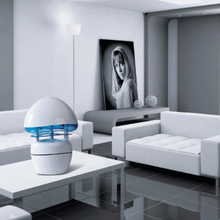 GENERALCO | Jellyfish Insect Trap | GF-4WD