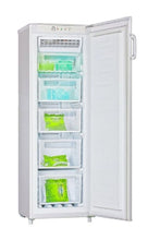 HISENSE | RV246 Upright Freezer White | TE0159020