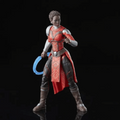 HASBRO | Marvel Legends Black Panther Legacy Collection Marvelâ€™s Nakia 6-inch Action Figure Collectible Toy | HSO106TOY01467