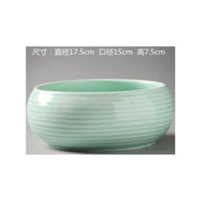 وعاء سيراميك للنباتات قطعة واحدة | 15 × 7.5 سم |