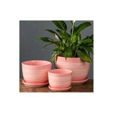 Table Ceramic Pot Suit for Plants 3-Piece Set