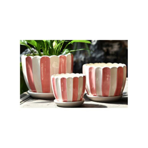 Table Ceramic Pot for Plants in 3 Sizes | 17cm X 14cm | 14cm X 11cm | 10cm X 10cm