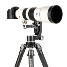 BENRO | Mammoth Carbon Fiber Tripod | TMTH44C