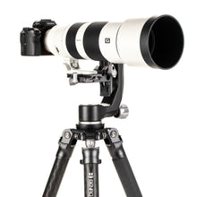 BENRO | Mammoth Carbon Fiber Tripod | TMTH44C
