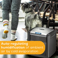 BEURER | Air Purifier & Humidifier 38W | LW 110