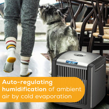 BEURER | Air Purifier & Humidifier 38W | LW 110