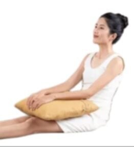 Vitality Massage Pillow R.T