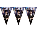 Wednesday Theme Birthday Party Decorations 62Pcs | MGS-087