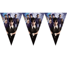 Wednesday Theme Birthday Party Decorations 62Pcs | MGS-087