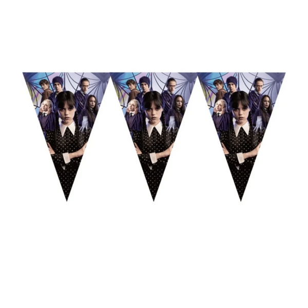 Wednesday Theme Birthday Party Decorations MINI Set 61Pcs | MGS-088