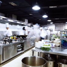 PESTWEST | Wall Mounted Insect Trap | Chameleon 1 x 2 | PW-FCU-0001/0002