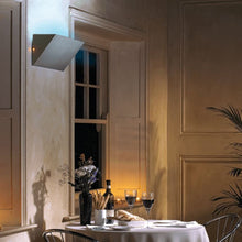 PESTWEST | Chameleon Uplight Shatterproof UK 3.7kg | PST-FLY-EFK-900-017