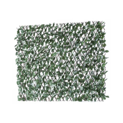 Willow Trellis | MZ186002B