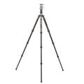 BENRO | Bat Carbon Fiber Tripod Kit with VX25 Ball Head Tripod | FBAT24C