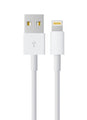 NYORK | 12V Fast Charging Lightning Wall Charger | NYH-211