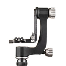 BENRO | Aluminum Gimbal Head | GH2N